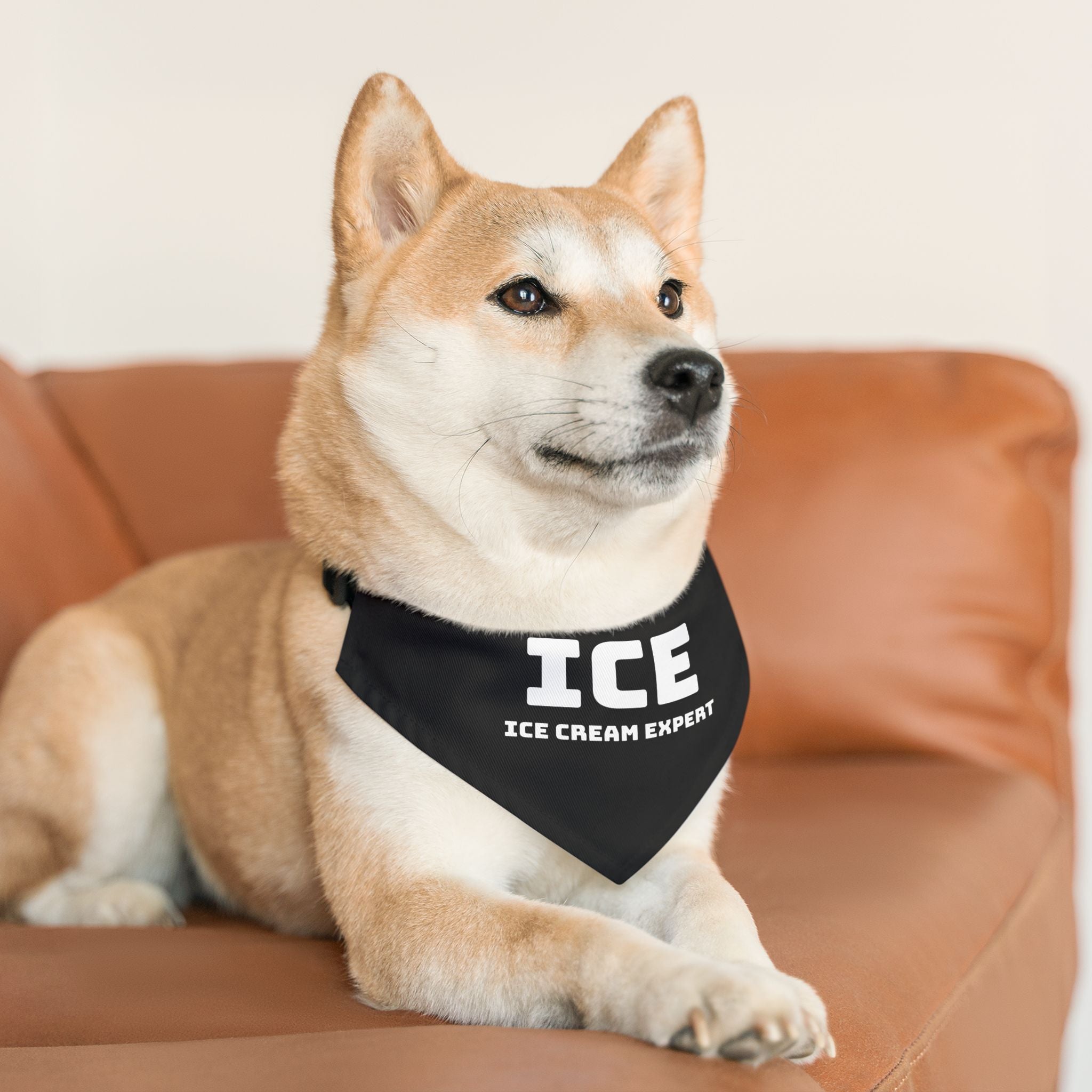 Pet Bandana Collar — "Ice Cream Expert" Political Satire Dog Bandana