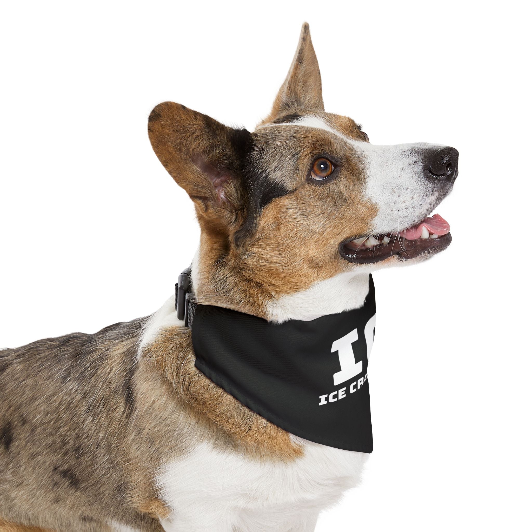 Pet Bandana Collar — "Ice Cream Expert" Political Satire Dog Bandana