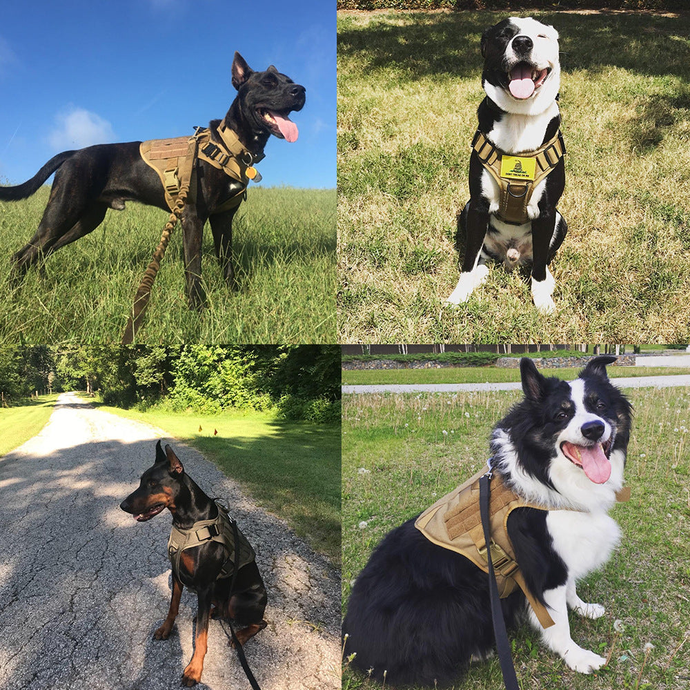 Tactical Dog Harness - Adjustable - Military Style