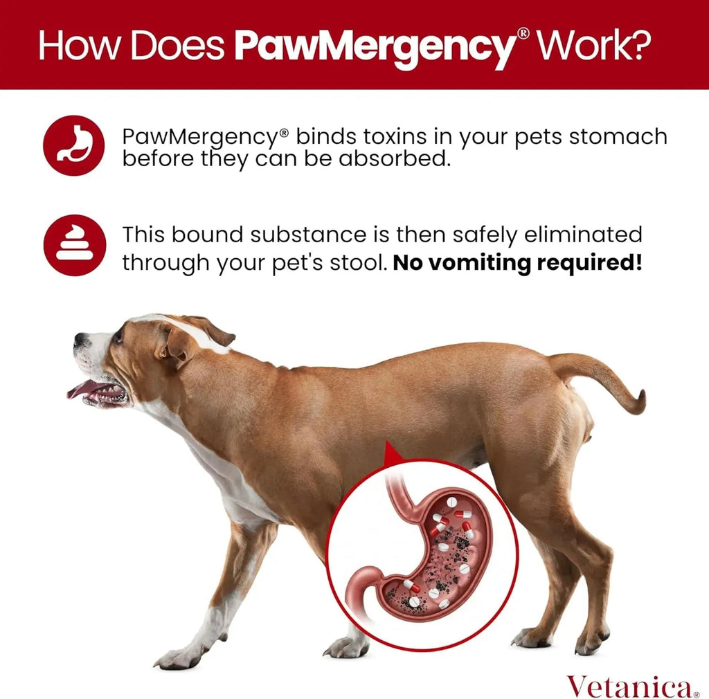 Pawmergency Activated Charcoal Pet First Aid Kit –Poison Rescue 2 Pack (30ml)