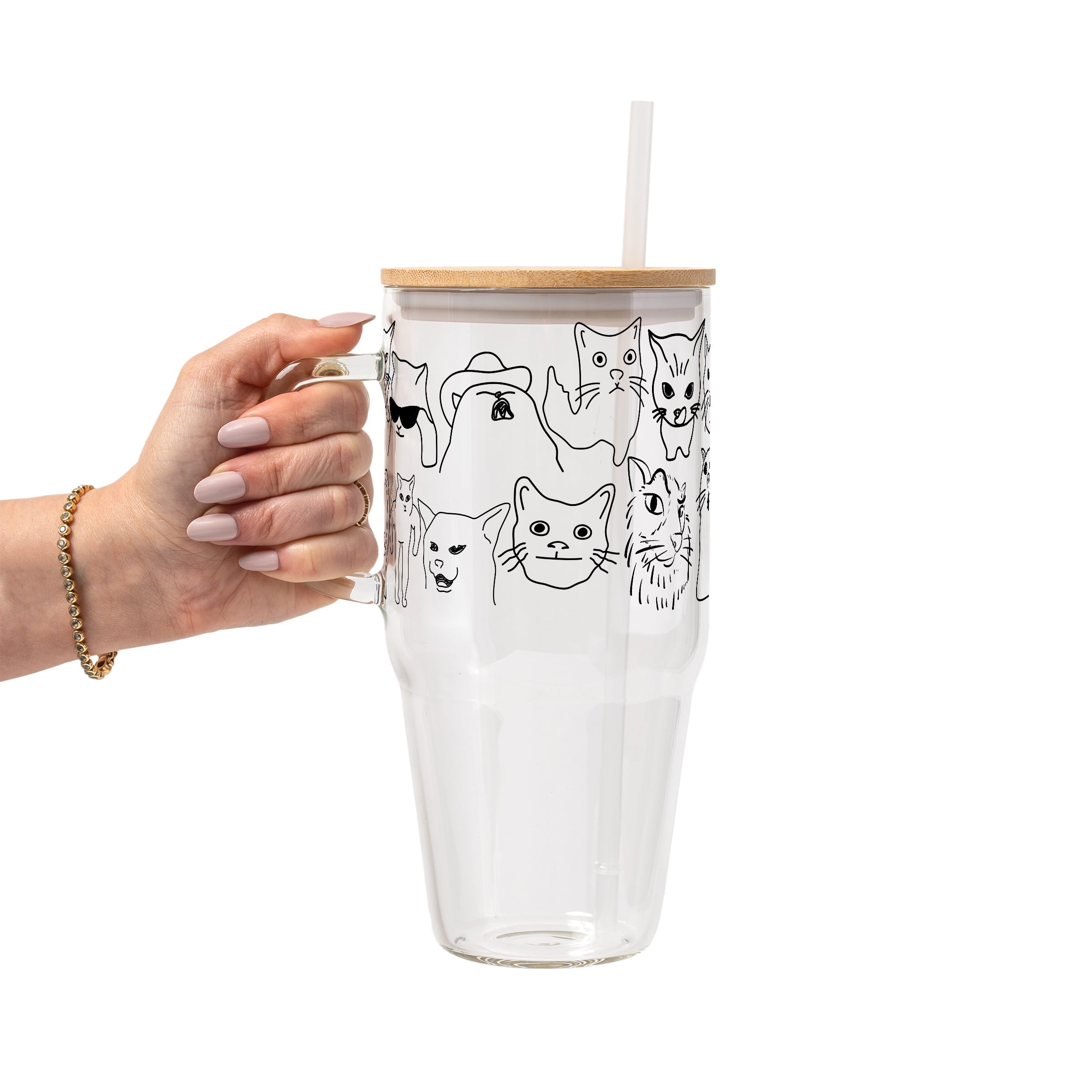 Iconic Meme Cats Glass Cup, Mug & Tumbler with Lid and Straw