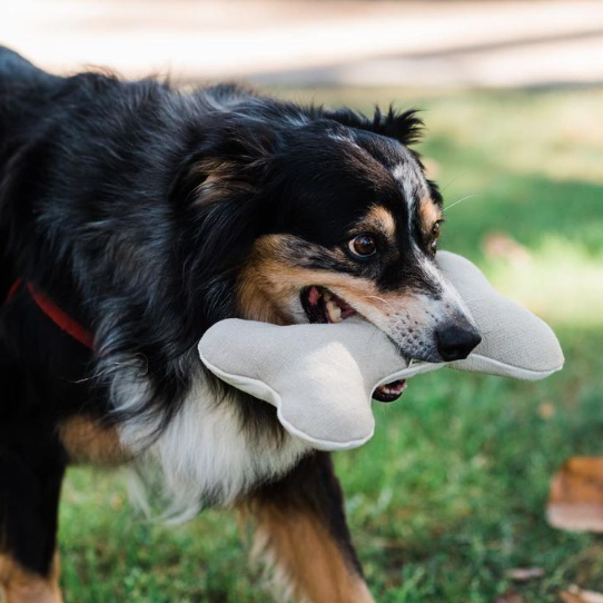 Natural Dog Toy Bundle for Cuddles, Fetch and Tugging - Small to Large Dogs Options