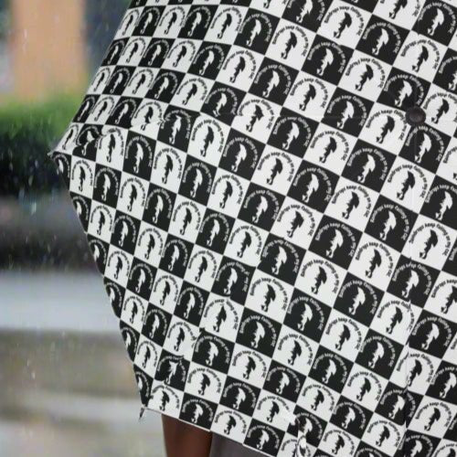 Raindrops Falling on my Cat Umbrella, Foldable
